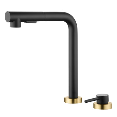 SUMERAIN Kitchen Sink Faucet 2 Hole with Pull Out Sprayer and Side Handle, Black and Gold