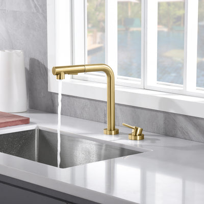 SUMERAIN Kitchen Sink Faucet with Pull Out Sprayer and Side Handle, 2 Hole Sink Faucet Brushed Gold